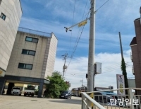 기사이미지