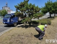 기사이미지
